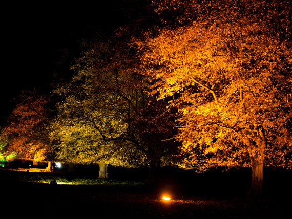 Festival of Light